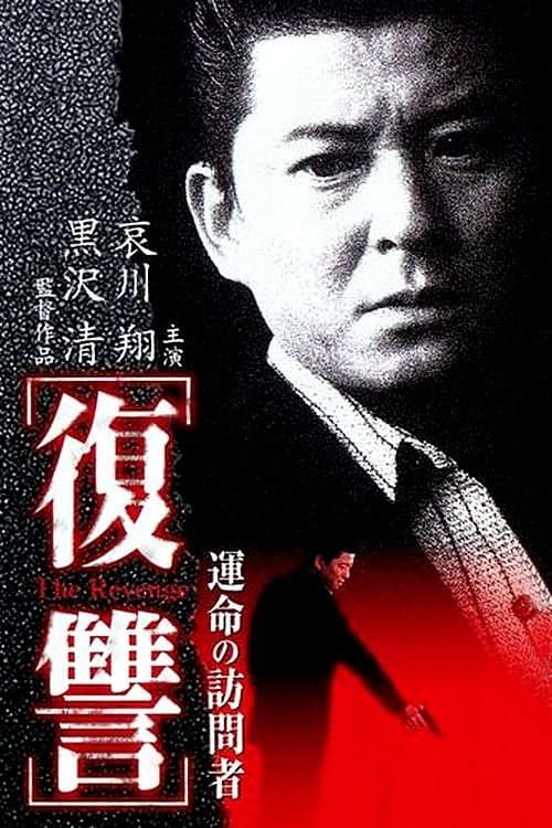 The Revenge: A Visit from Fate — poster