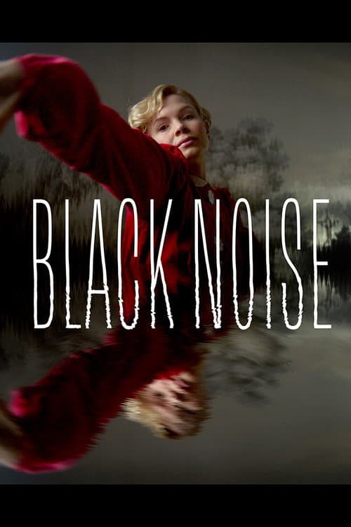 Black Noise — poster