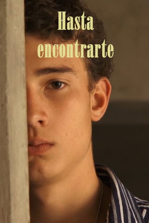 Hasta encontrarte — poster