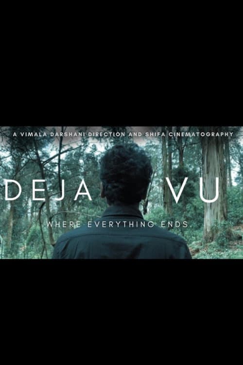 Déjà vu — poster