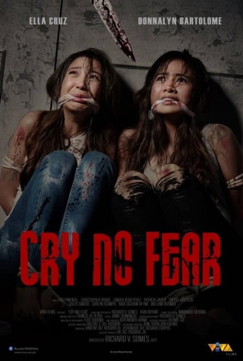 Cry No Fear — poster