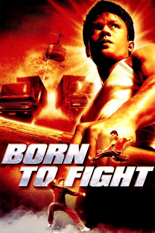 Born to Fight — poster
