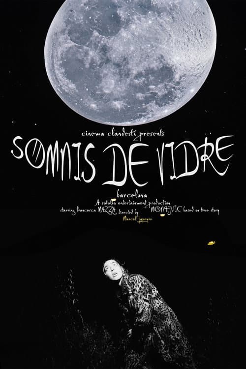 Somnis de Vidre — poster