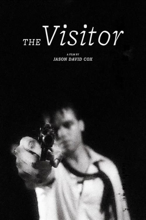 The Visitor — poster