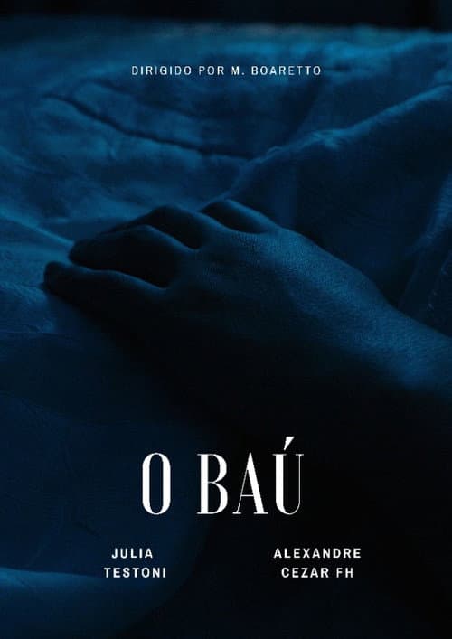 O Baú — poster
