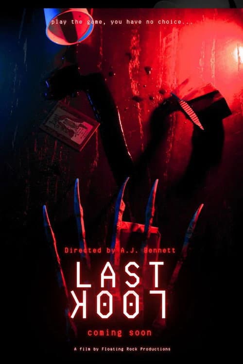 Last Look — poster