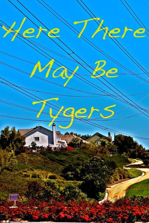 Here There May Be Tygers — poster