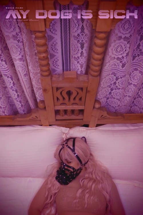 My Dog Is Sick — poster