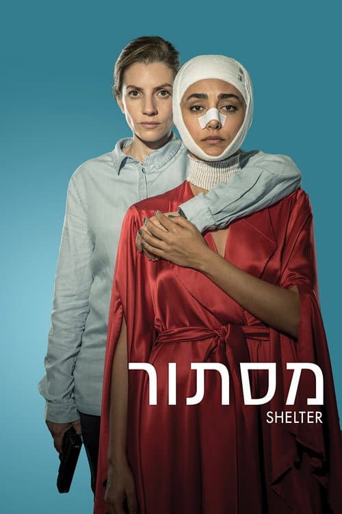 Shelter — poster