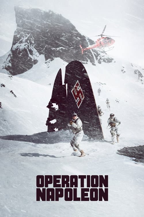 Operation Napoleon — poster