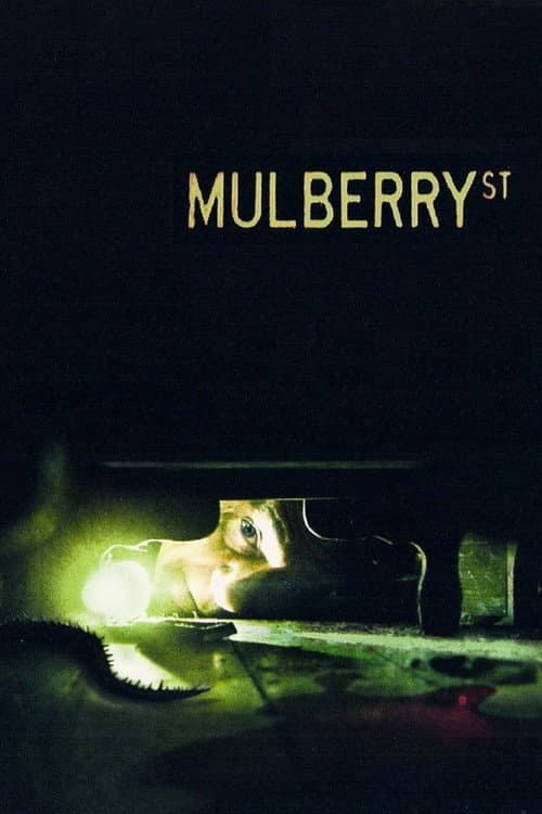 Mulberry Street — poster
