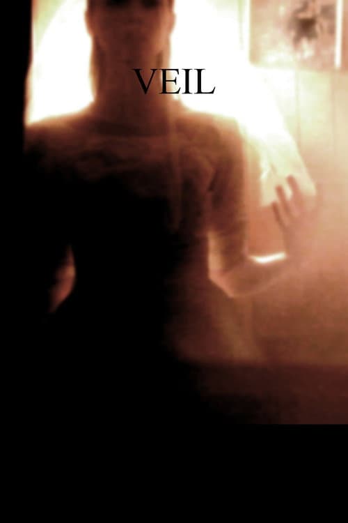 Veil — poster