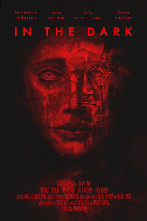 In the Dark — poster