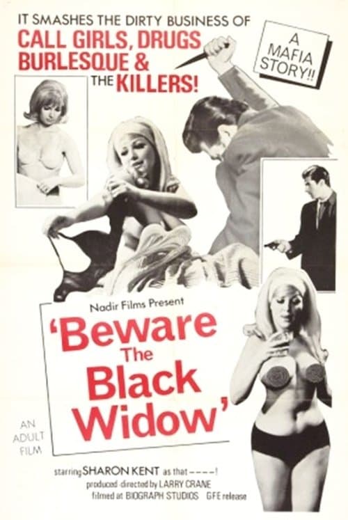 Beware the Black Widow — poster