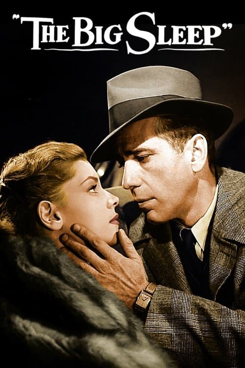 The Big Sleep — poster