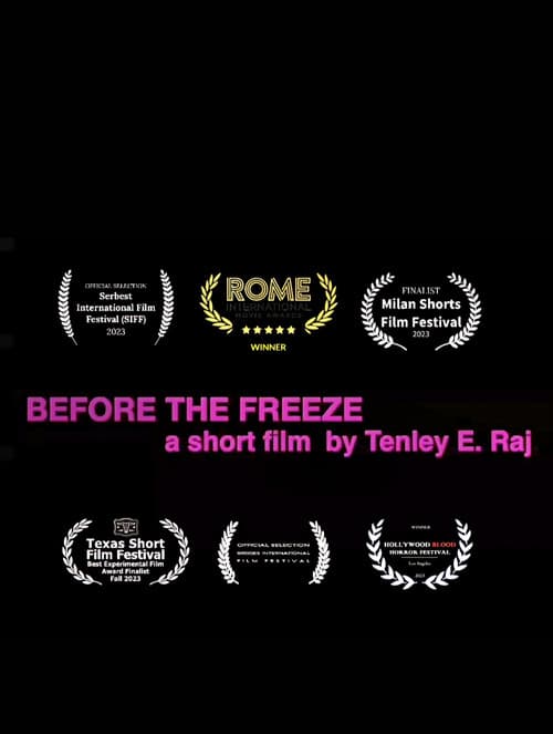 Before the Freeze — poster