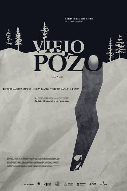 Old Well — poster
