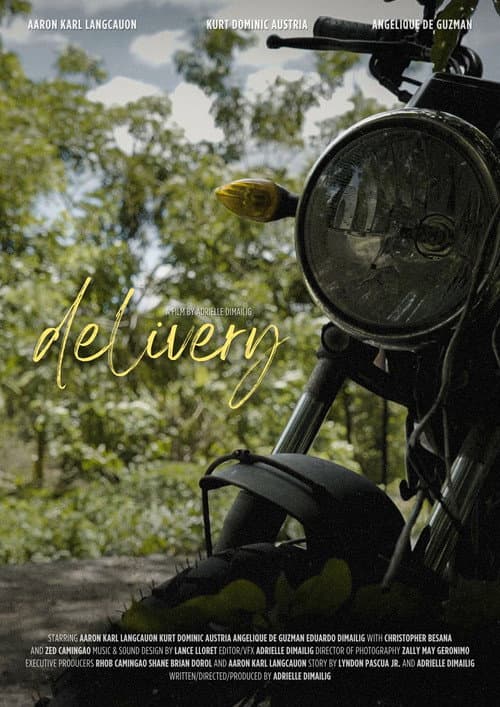 Delivery — poster