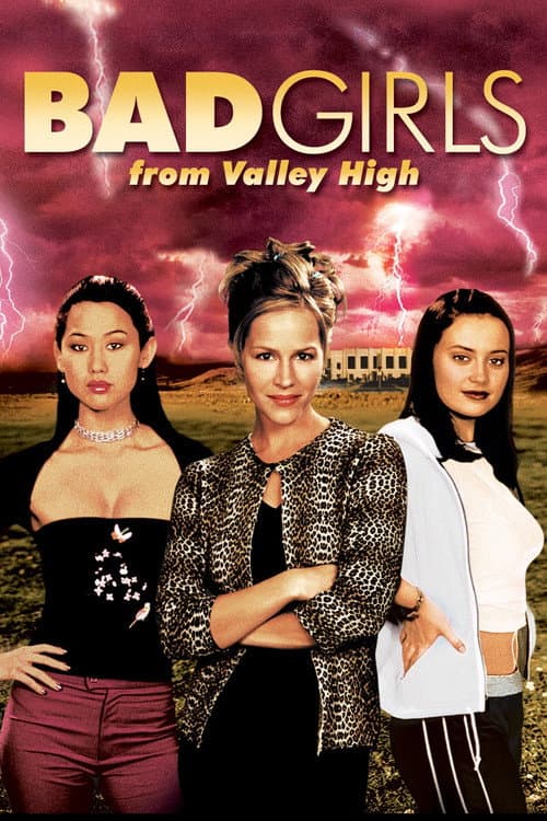 Bad Girls from Valley High — poster