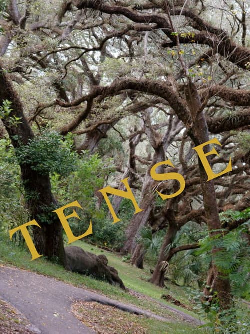 Tense — poster