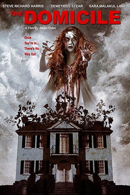 The Domicile — poster
