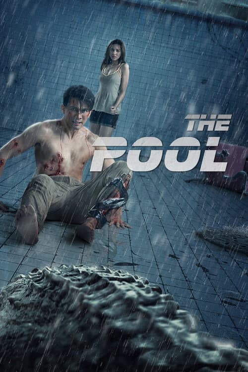 Poster for The Pool