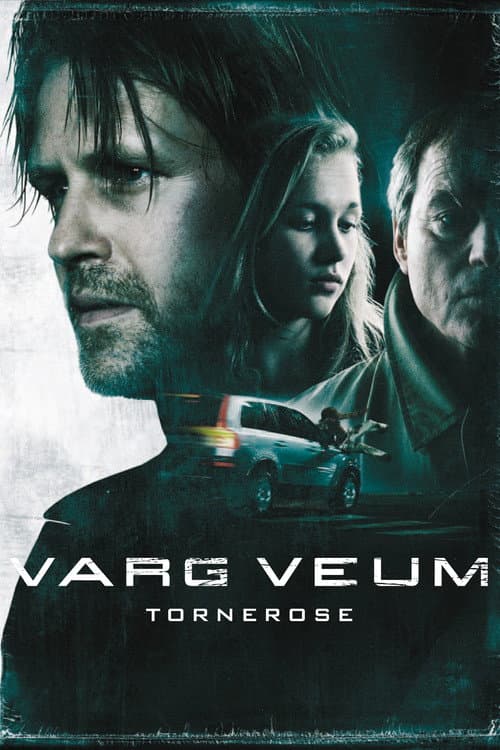 Varg Veum - Sleeping Beauty — poster
