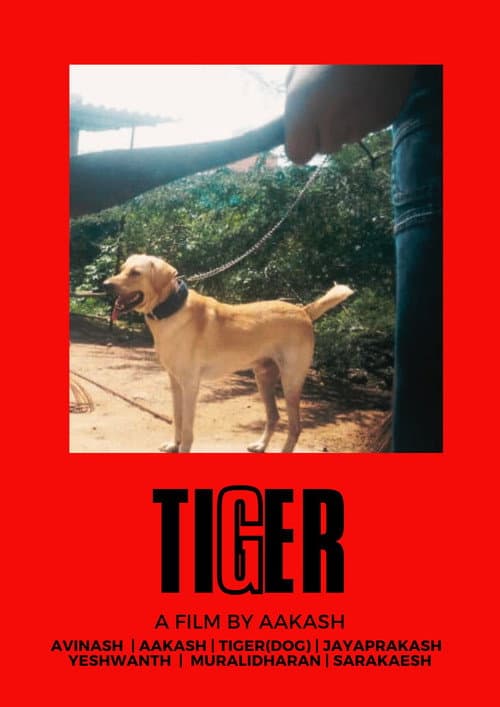 TIGER — poster