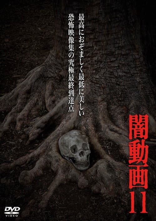 Tokyo Videos of Horror 11 — poster