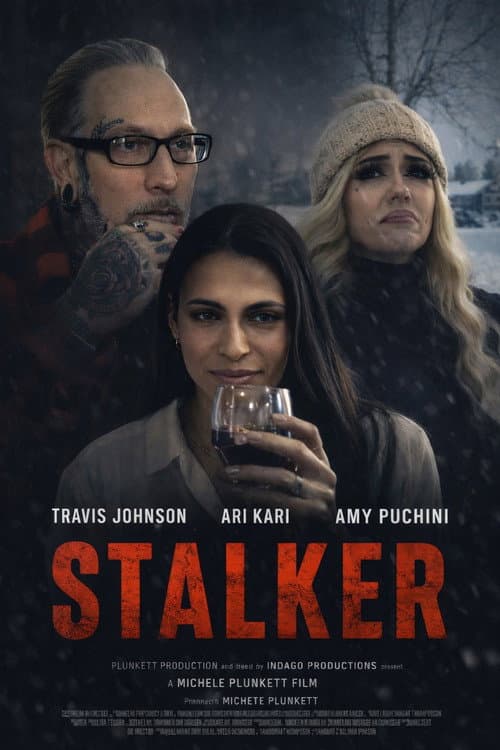 Stalker — poster