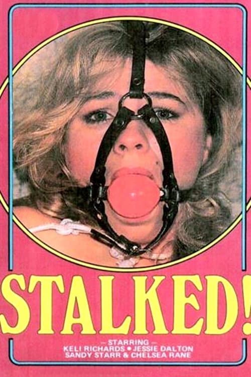 Stalked! — poster