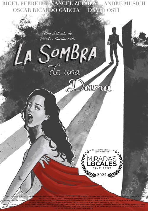 A Lady's Shadow — poster