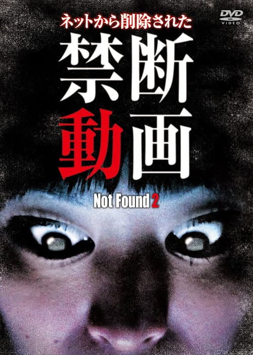 Not Found 2 — poster