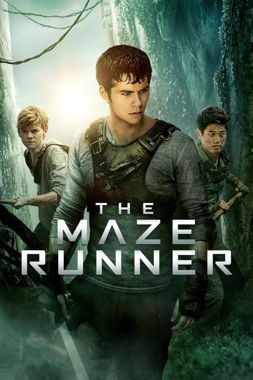 The Maze Runner — poster
