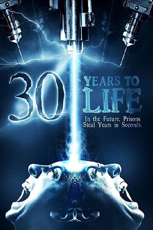 30 Years to Life — poster