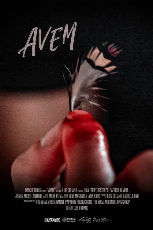 Avem — poster