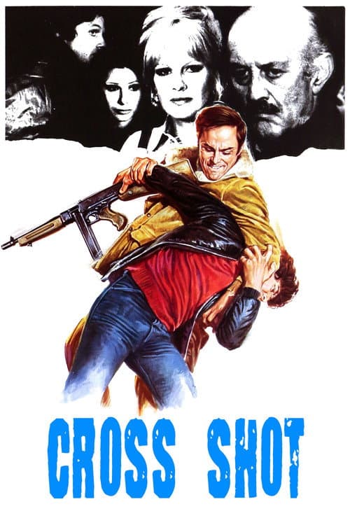 Cross Shot — poster