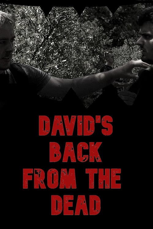 David's Back from the Dead — poster
