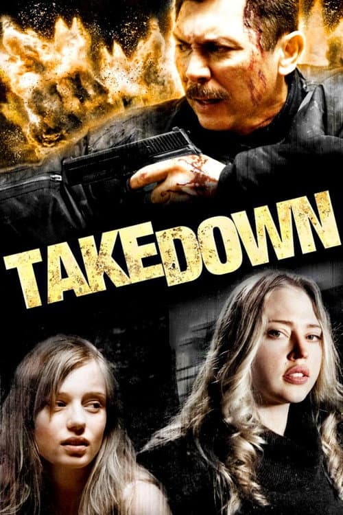 Takedown — poster