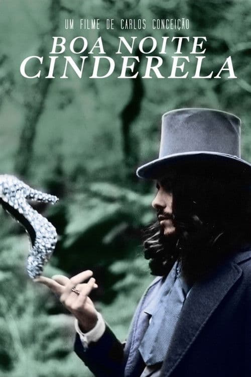 Goodnight Cinderella — poster