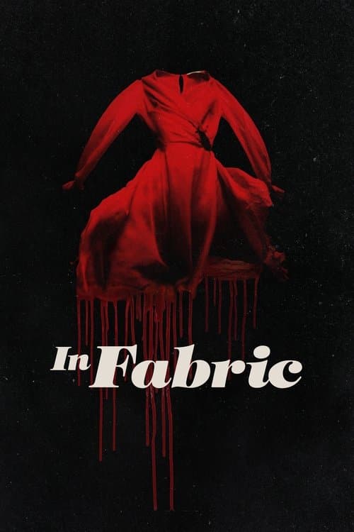 In Fabric — poster