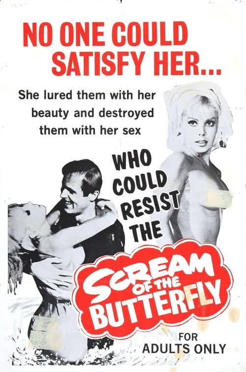 Scream of the Butterfly — poster