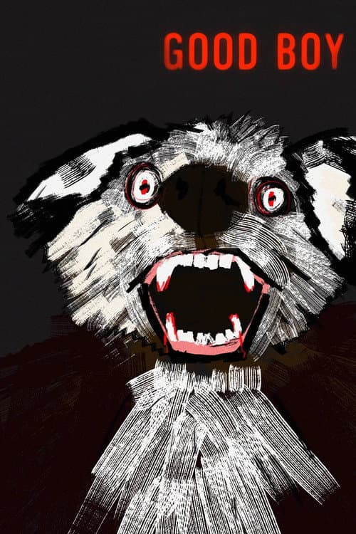 Good Boy — poster