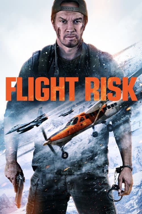 Flight Risk — poster