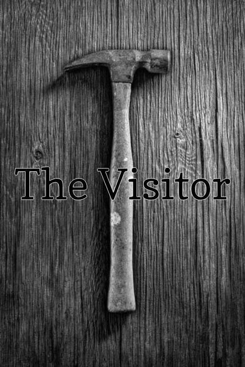 The Visitor — poster