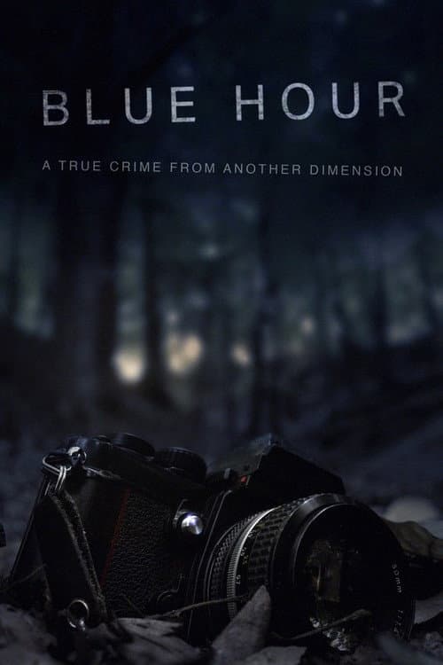 Blue Hour: The Disappearance of Nick Brandreth — poster