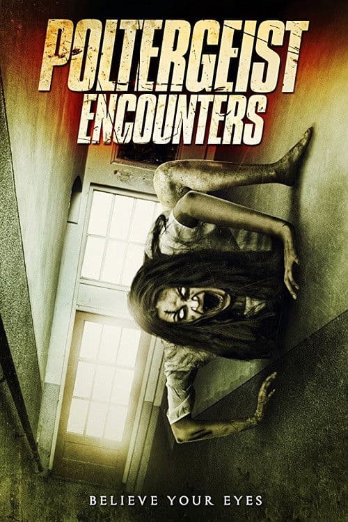 Poltergeist Encounters — poster