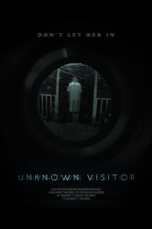 Unknown Visitor — poster