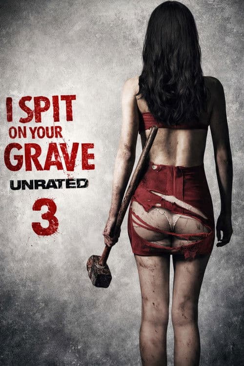 I Spit on Your Grave III: Vengeance Is Mine — poster