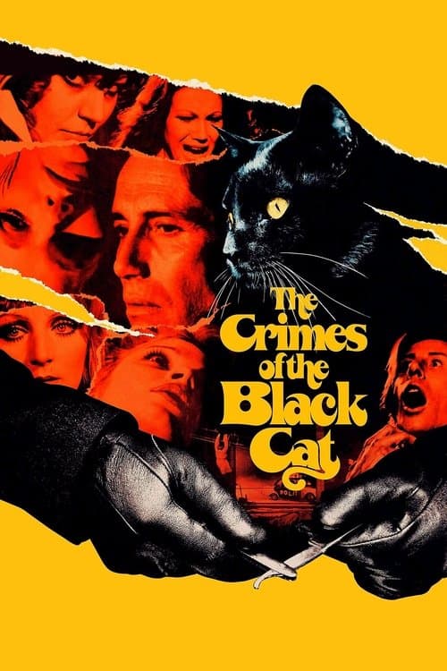 The Crimes of the Black Cat — poster